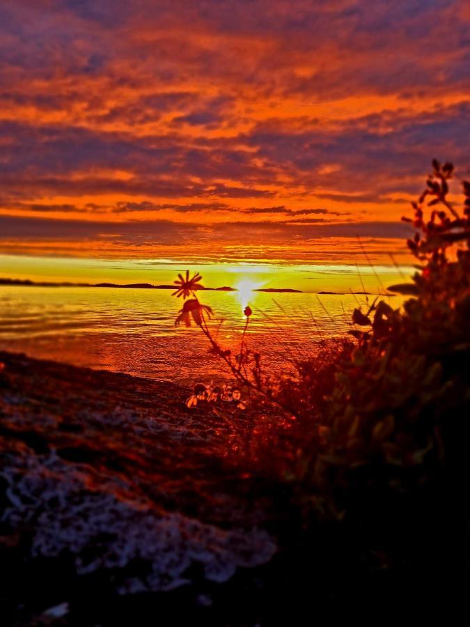 Laukvik Senja 호텔 Botnhamn 외부 사진